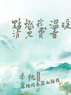 点燃我温暖你高清免费看