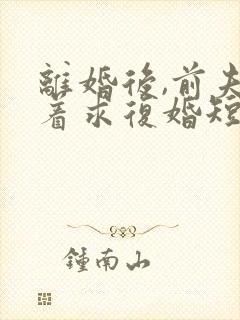 离婚后,前夫哭着求复婚短剧
