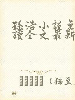 孙浩小说免费阅读全文最新章节