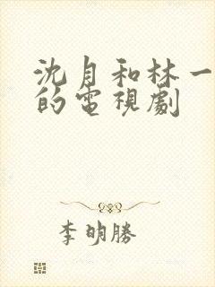 沈月和林一演过的电视剧