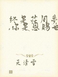 终是庄周梦了蝶,你是恩赐也是劫意思