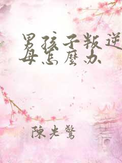 男孩子叛逆打父母怎么办