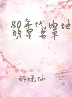 80年代内地女明星名单