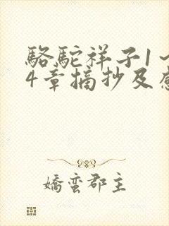 骆驼祥子1～24章摘抄及感悟