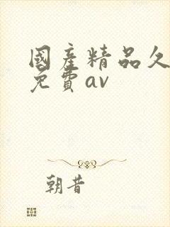国产精品久久久免费av
