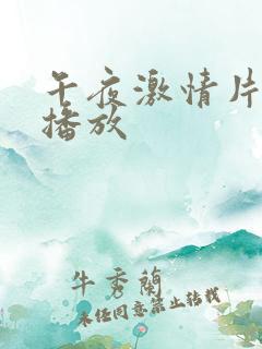 午夜激情片在线播放