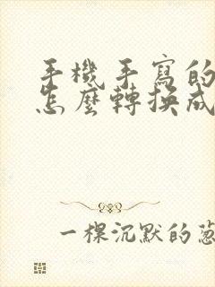 手机手写的文字怎么转换成电子版