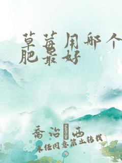 草莓用哪个水溶肥最好