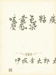 咳黄色粘痰是什么感染