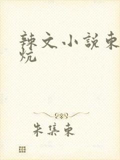 辣文小说东北大炕