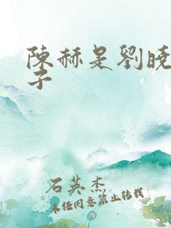 陈赫是刘晓庆儿子