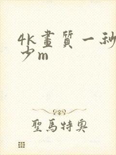 4k画质一秒多少m