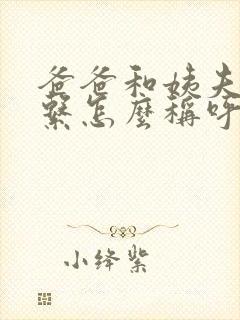 爸爸和姨夫的关系怎么称呼