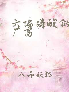 六偏磷酸钠工业厂商