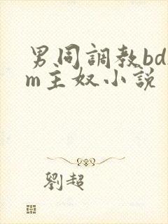 男同调教bdsm主奴小说