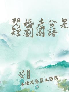 闪婚老公是豪门短剧国语