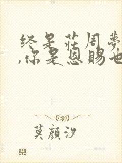 终是庄周梦了蝶,你是恩赐也是劫是什么意思