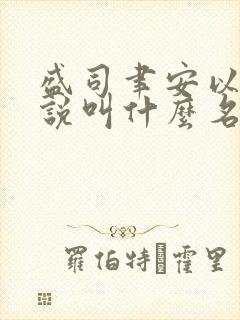 盛司聿安以夏小说叫什么名字
