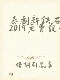 泰剧新铁石心肠2019免费观看国语