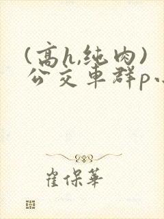 (高h,纯肉)公交车群p小说