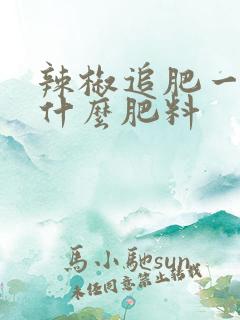 辣椒追肥一般用什么肥料