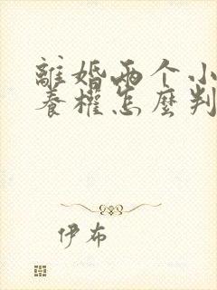 离婚两个小孩抚养权怎么判定