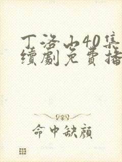丁洛山40集连续剧免费播放