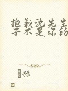 抱歉沈先生,孩子不是你的短剧全集免费