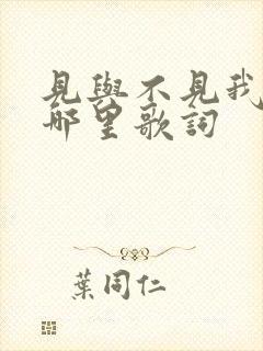 见与不见我都在哪里歌词