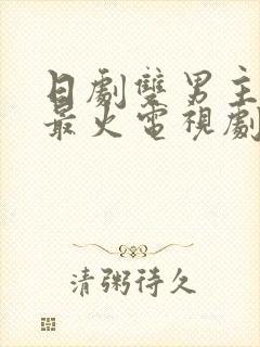 日剧双男主推荐最火电视剧