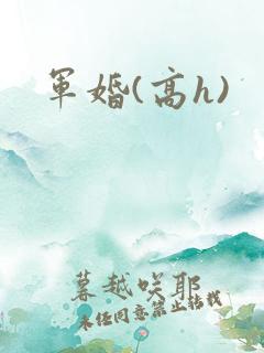 军婚(高h)