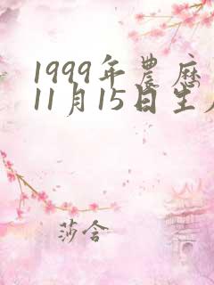 1999年农历11月15日生辰八字