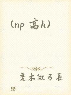 (np 高h)
