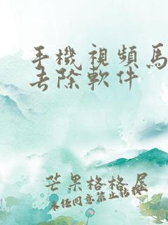 手机视频马赛克去除软件
