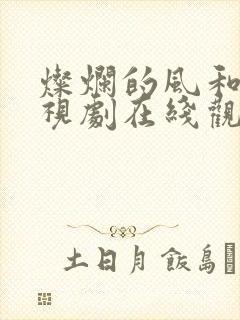 灿烂的风和海电视剧在线观看
