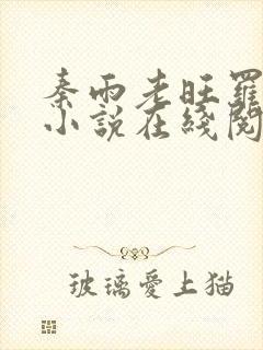 秦雨老旺罗明的小说在线阅读免费