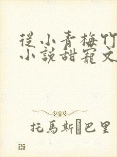 从小青梅竹马的小说甜宠文