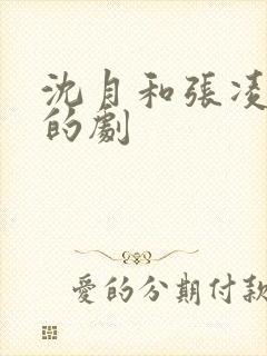 沈月和张凌赫演的剧