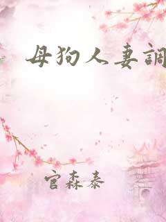 母狗人妻调教