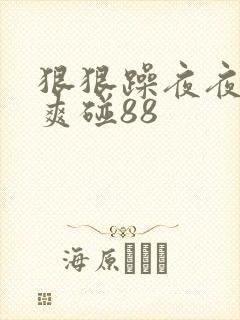 狠狠躁夜夜躁人爽碰88