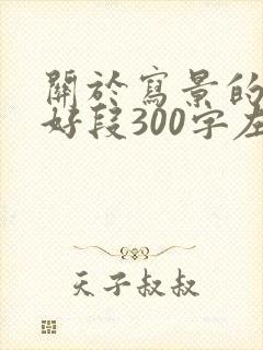 关于写景的好句好段300字左右