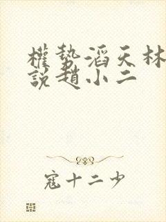 权势滔天林峰小说赵小二