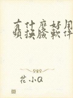 有什么好用的视频换脸软件
