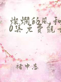 灿烂的风和海40集免费观看