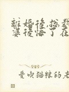 离婚后,总裁老婆后悔了在线下载