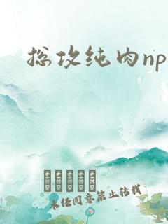 总攻纯肉np文
