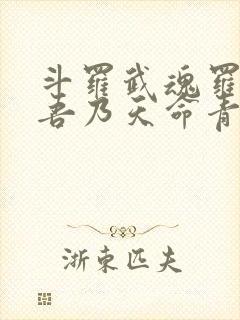斗罗武魂罗三炮吾乃天命青龙免费阅读