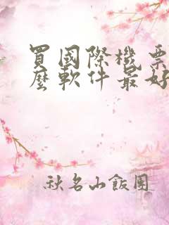 买国际机票用什么软件最好最便宜