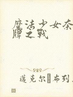 魔法少女奈叶王牌之战