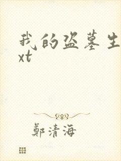 我的盗墓生涯txt